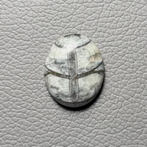 Orthoceras Gemstone Cabochon