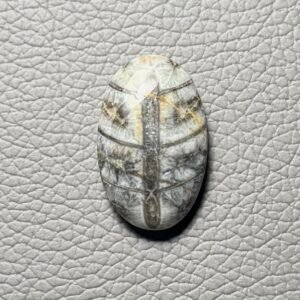 Orthoceras Gemstone Cabochon