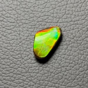 Ammolite Gemstone Cabochon